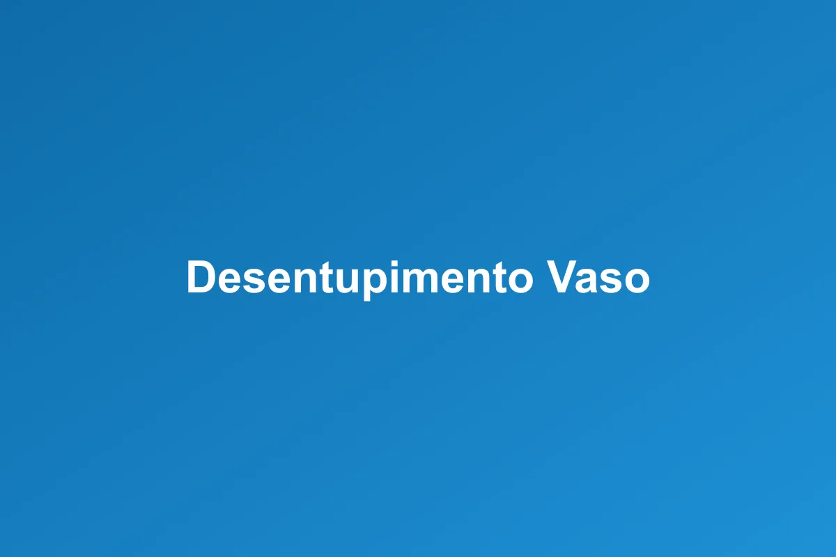 Desentupimento de vaso sanitário em Foz do Iguaçu